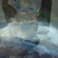Gingerly Driving (disquiet0518) - Nate Trier