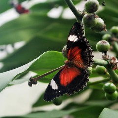 21 days of abundance meditation | Deepak Chopra