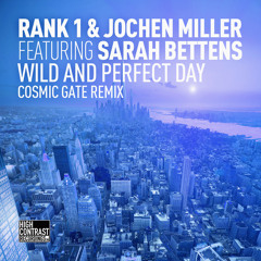 Wild and Perfect Day (Cosmic Gate Remix)