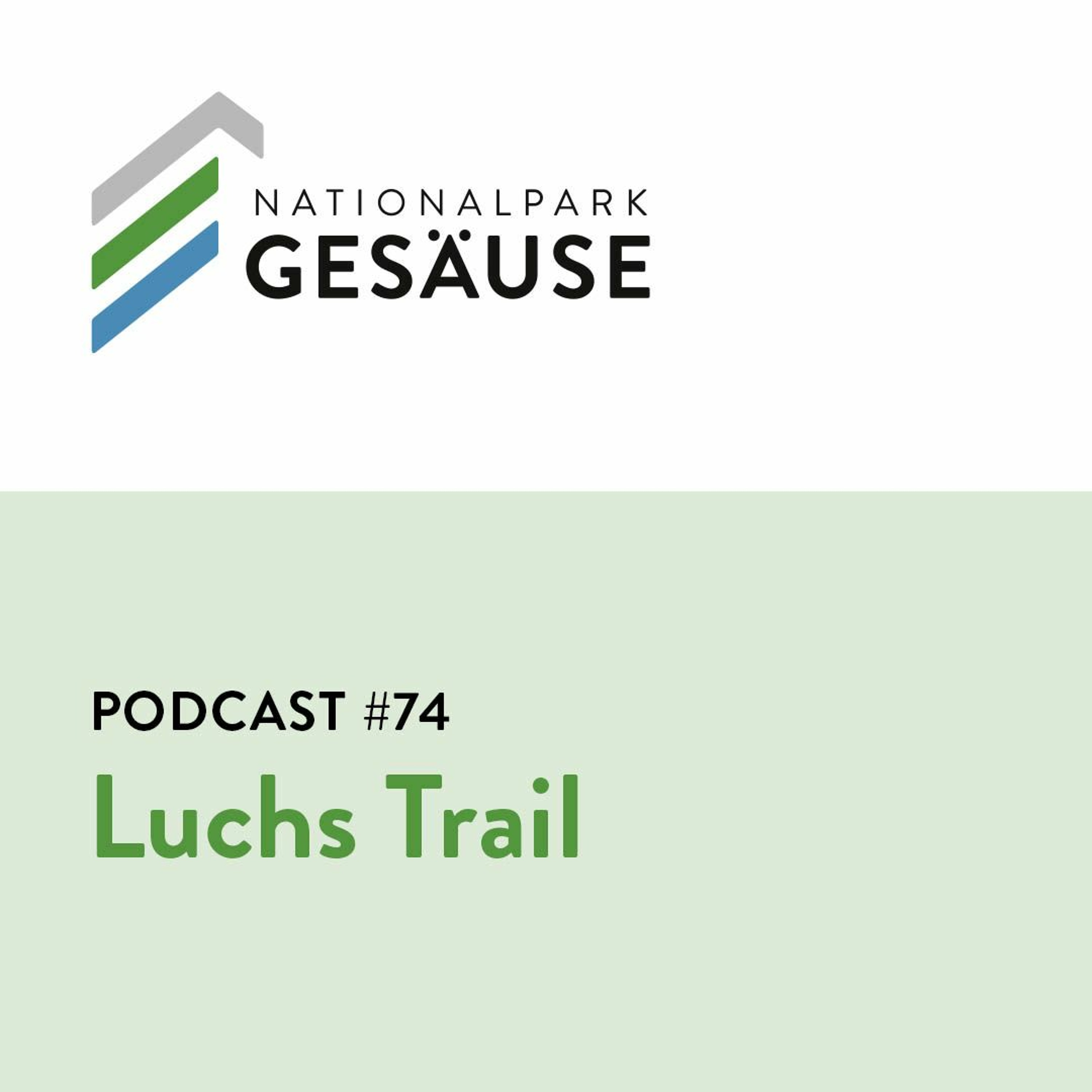 Podcast #74 - Luchs Trail episode artwork