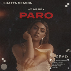 Paro - Zapre Remix