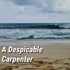 A Despicable Carpenter
