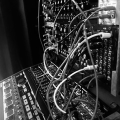 2024 xanexx live