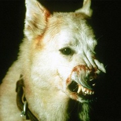 HURT SADDIQ AND U DIE