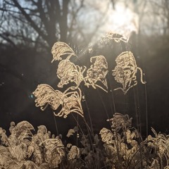 October Transmissions [Apollo Dust mix]