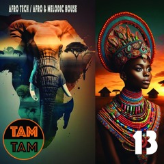 TAM TAM 13 | Afro Tech / Afro & Melodic House
