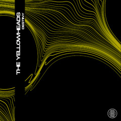 The YellowHeads -  Destiny (Original Mix)
