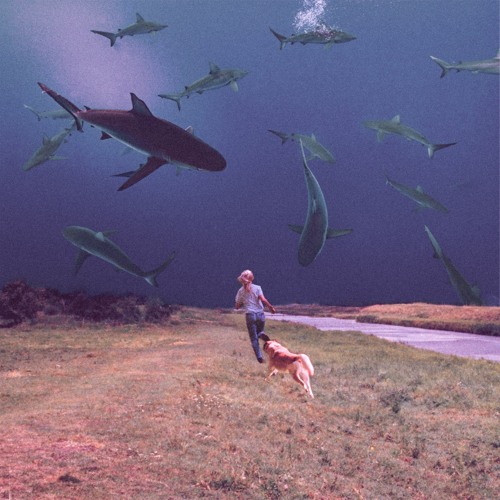 Bully - Lose You (feat. Soccer Mommy)