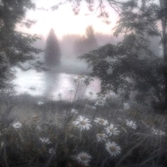 lonely