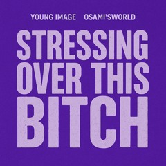 Stressing Over This Bitch