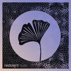 La Santa - Raw is Real (Martijn Ten Velden Remix Snippet)