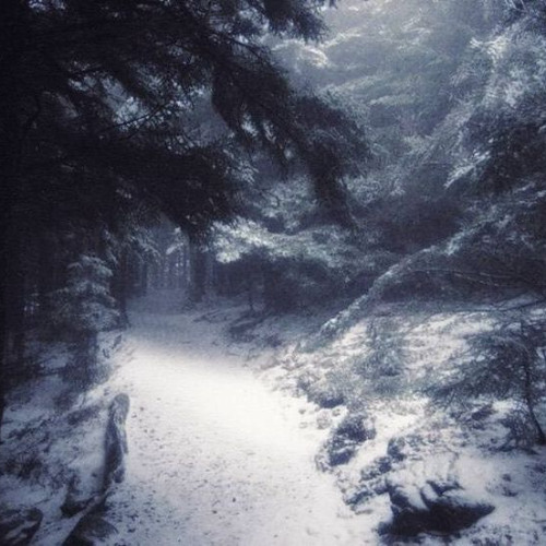 ambient 2