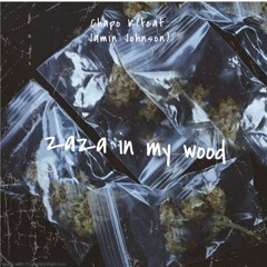 zaza in my wood- Chapo K(feat. Jamin Johnson)