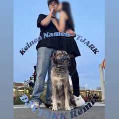 Keinen Namen - TJARK [D3VT3KK Remix]