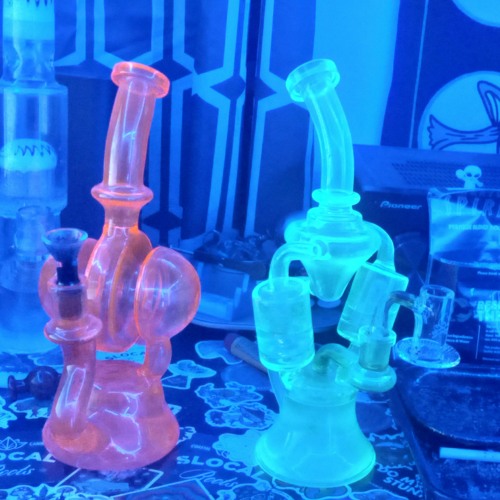 WhoTFIsYou Feat Cam X $tvn