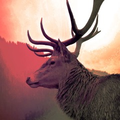 Digital Deer