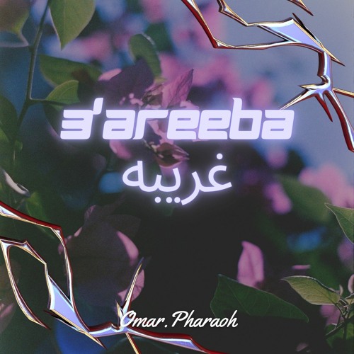 3'areeba " غريبه " - (Prod.theskybeats)