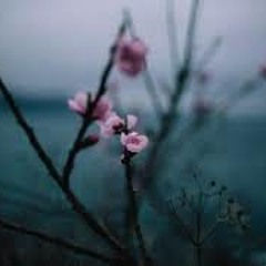 Oleg Byonic - Discoloration (Blossom)