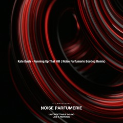 Kate Bush - Running Up That Hill ( Noise Parfumerie Bootleg Remix )