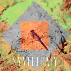 Dj Doc - Syntherapy