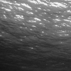 Monochrome 2