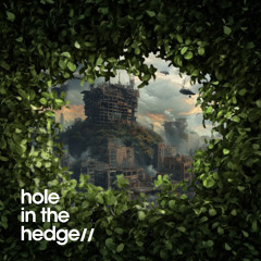 Hole in the Hedge