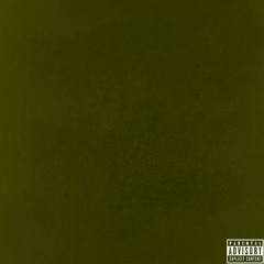 VINNY BURNTFLOWERS - VICTORY LAP