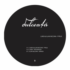 premiere: Illan Nicciani - Spiraea [DULCEATA002]