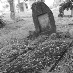 Pleasure Theft - Psycho Invalid ft. Ddmitry + Kid Somni