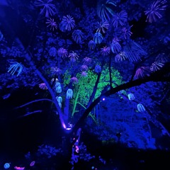 Chillout/Downtempo