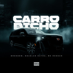 Carro Bicho