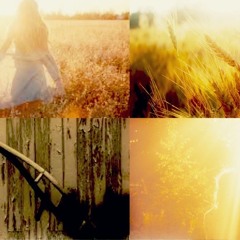 Wonder