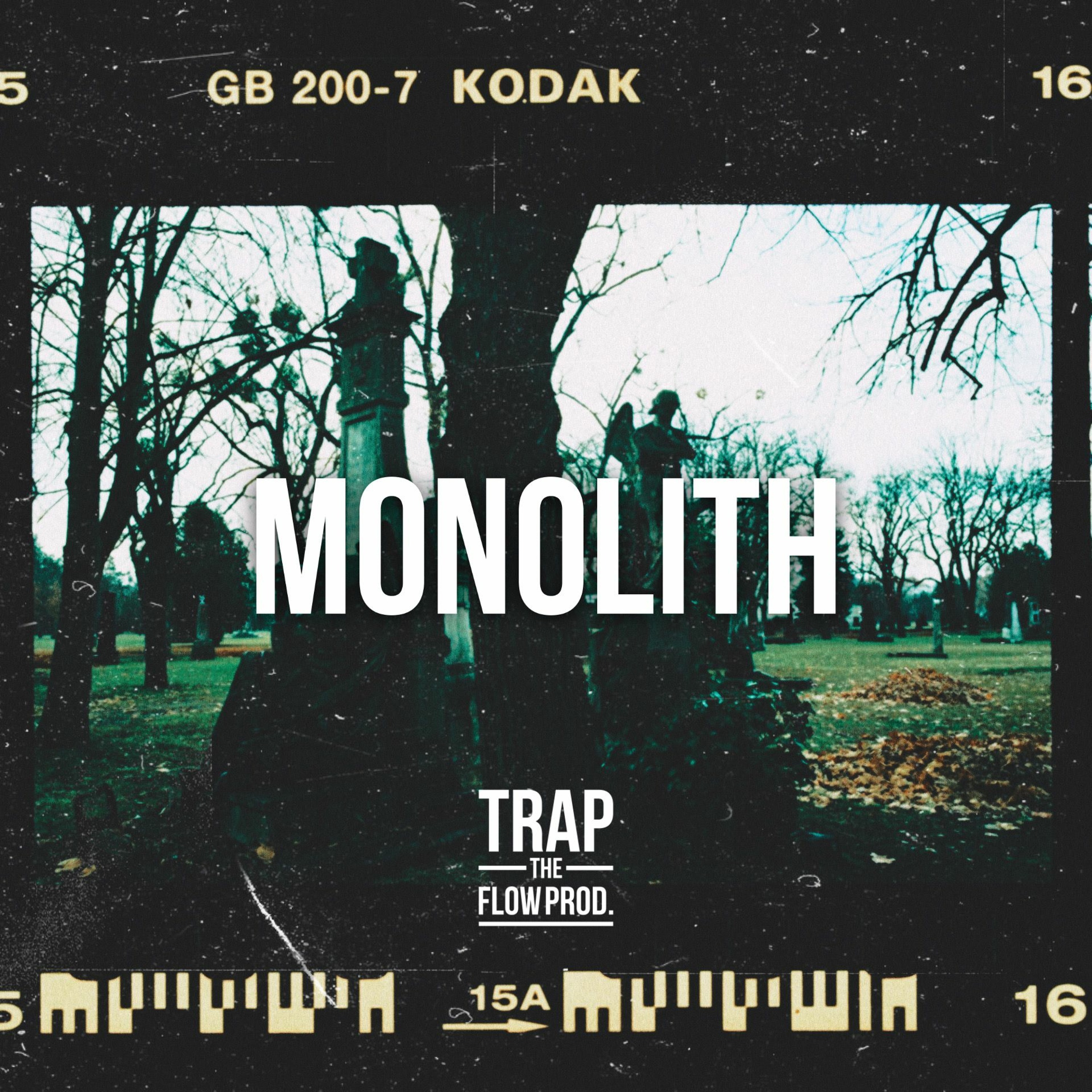 TrapTheFlow