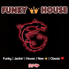 Funky & House 2023 🔥 Crazibiza | David Penn | Lissat | Cassim   🔥 ⭐DJ RIP ⭐