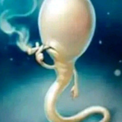 Nie ma na co czekać_Demo