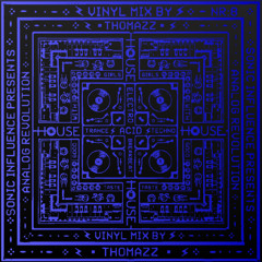 Analog Revolution - 08. Thomazz (vinyl only)