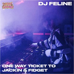 DJ Feline - One Way Ticket To Jackin & Fidget [Guest Mix]