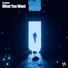 Jay Hertz - What You Want