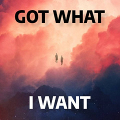 Got What I Want