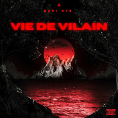 VIE DE VILAIN