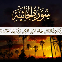 45 - سورة الجاثية بالترتيل العراقي رمضان ١٤٤١ هـ | أحمد بن عبدالعزيز النفيس