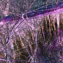 Lynched (Prod. DROWNINDARK )