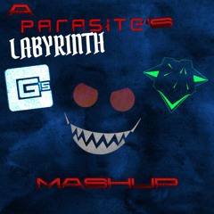 A Parasite's Labyrinth