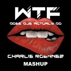 WTF does djs actualy do (Charlie Roennez Mashup)