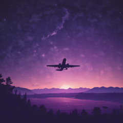 JUST ANOTHER LONELY FLIGHT.
