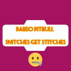 Dareo Pitbull_$nitches_Get_Stitches