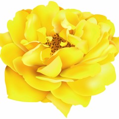 For U (Berlin Decker, feat Jwyp)