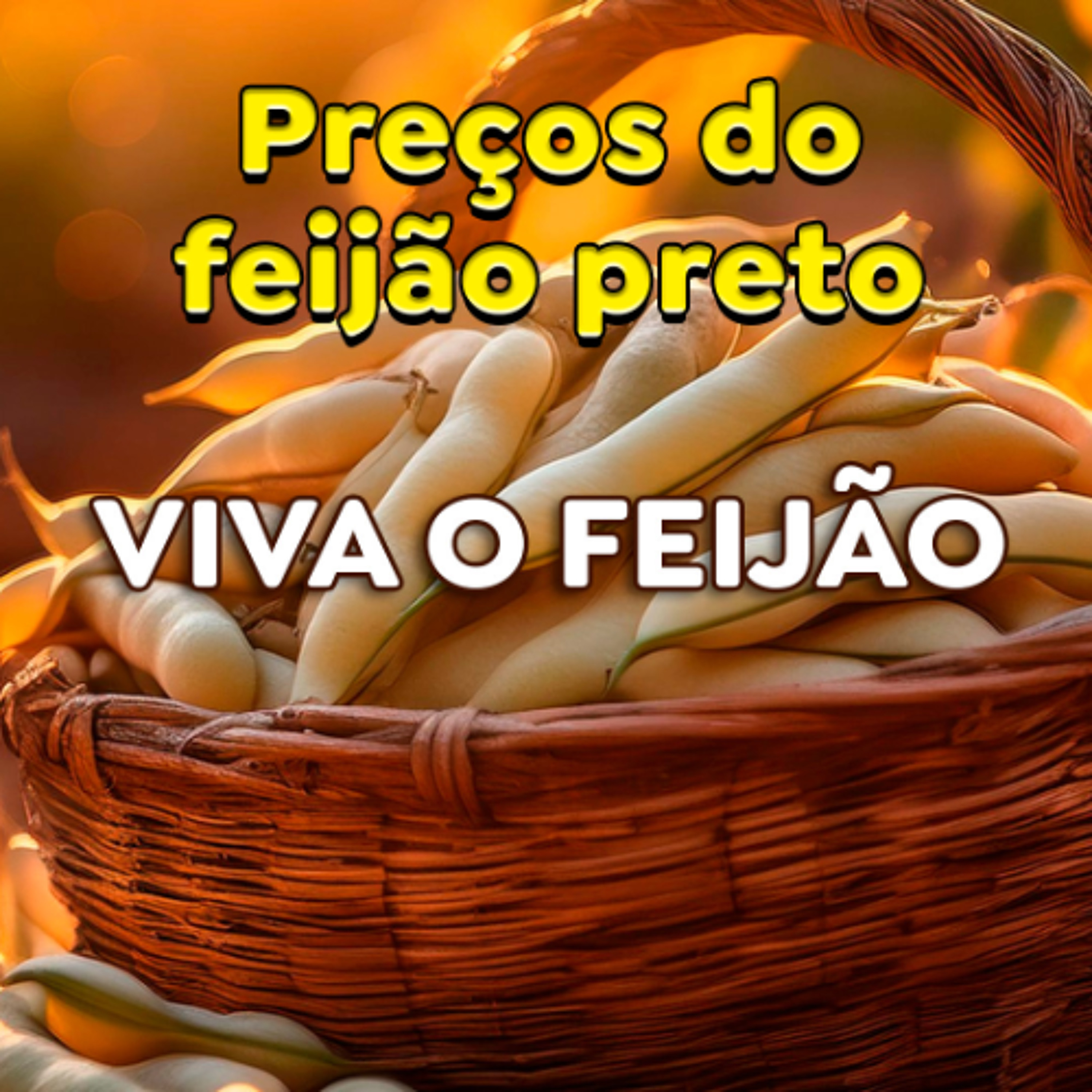 Paracatu Rural - Jornal do agronegócio