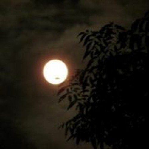 Việt Mix - Ánh Trăng Nói Hộ Lòng Tôi