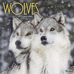 [ACCESS] PDF 📍 2017 Wolves Wall Calendar by  TF Publishing [EBOOK EPUB KINDLE PDF]